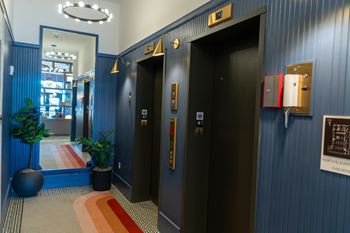 A hallway with two elevators and a plant on the left.